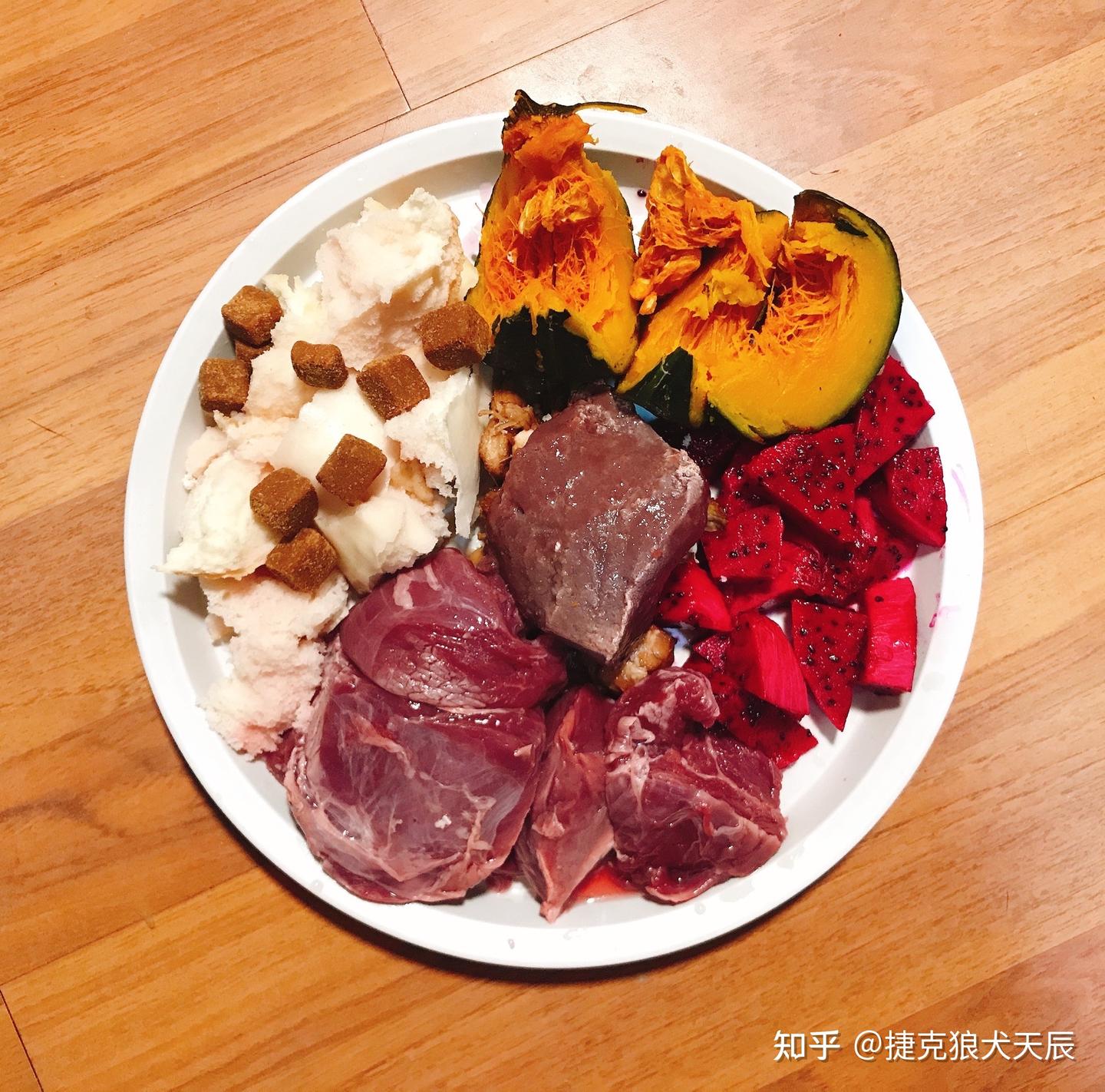 捷克狼犬平日吃什么- 知乎