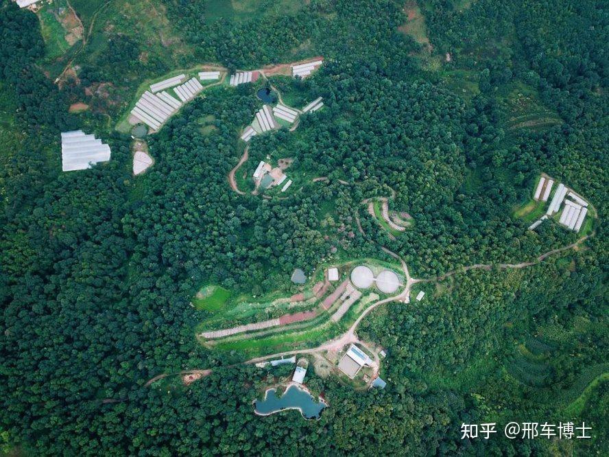 农业基地+汽车文旅,会擦出怎样的火花:良道·蔬蜜院新春蔬享会圆满成功