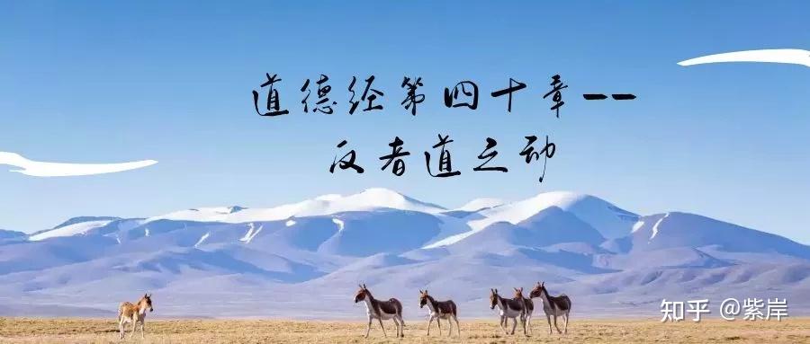 道德经第四十章——反者道之动 - 知乎