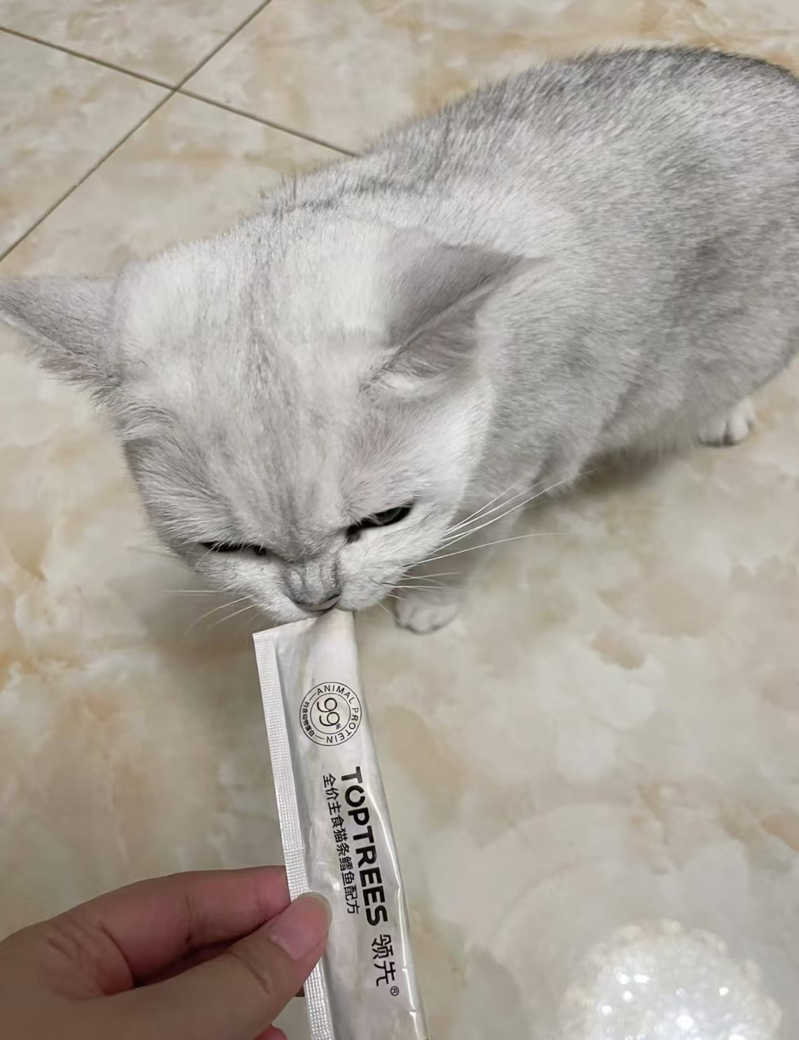 领先猫条怎么样?有诱食剂吗? - 知乎