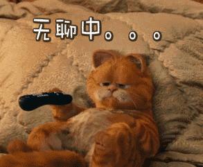 来自加菲猫的19条经典语录，还挺有哲理呢~