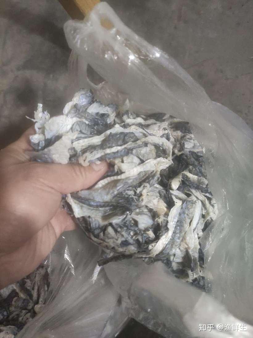 鱼皮给自己的店多加一道菜给顾客多一个选择