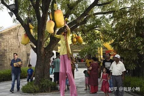 每喝一杯杨枝甘露就有一颗圣果失去生命