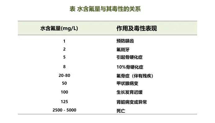 牙齿涂氟预防龋齿会有氟中毒风险吗