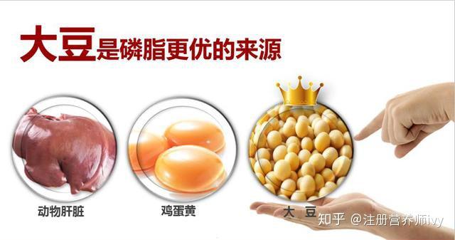 我们应该如何补充磷脂?