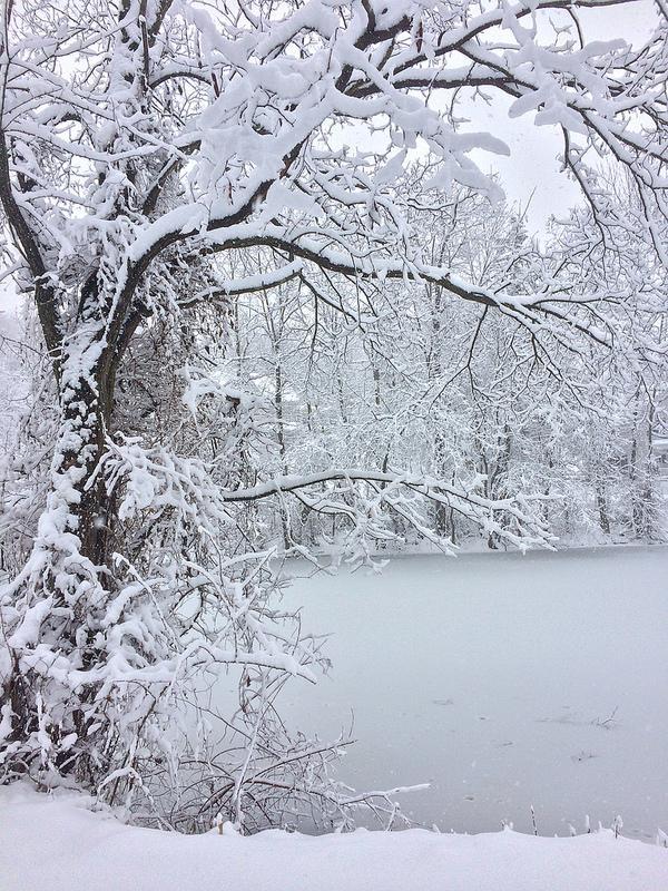 下雪天真实图片大全图片