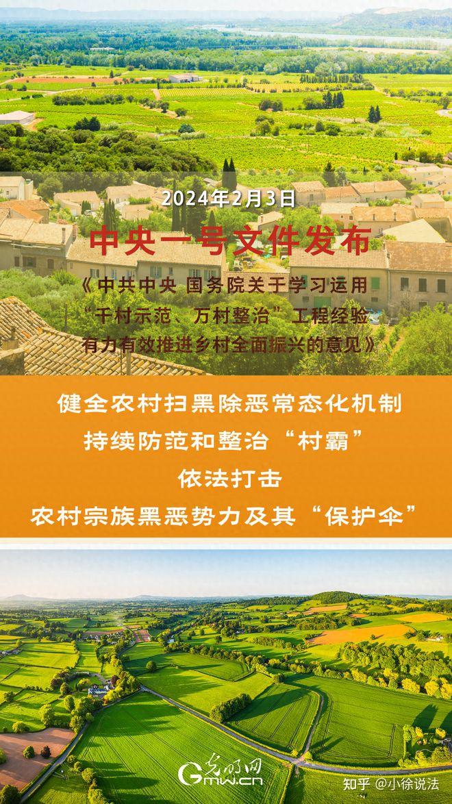 持续整治"村霸" 依法打击黑恶势力及其"保护伞