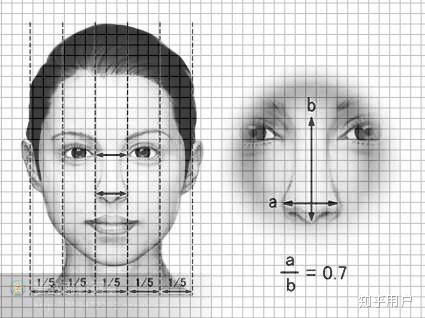 欧洲人白种人有高鼻大眼、狭鼻窄脸的外貌特征