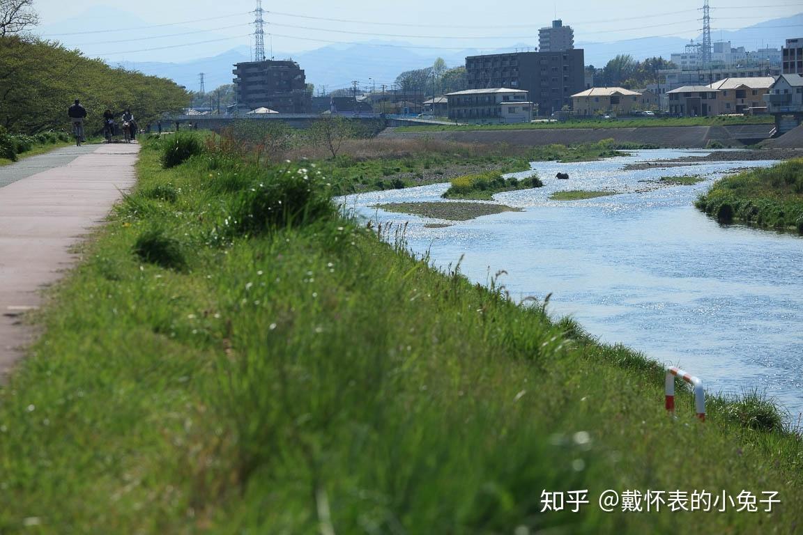 从黑色部屋到血色黄昏《暗之部屋》玩后感 知乎