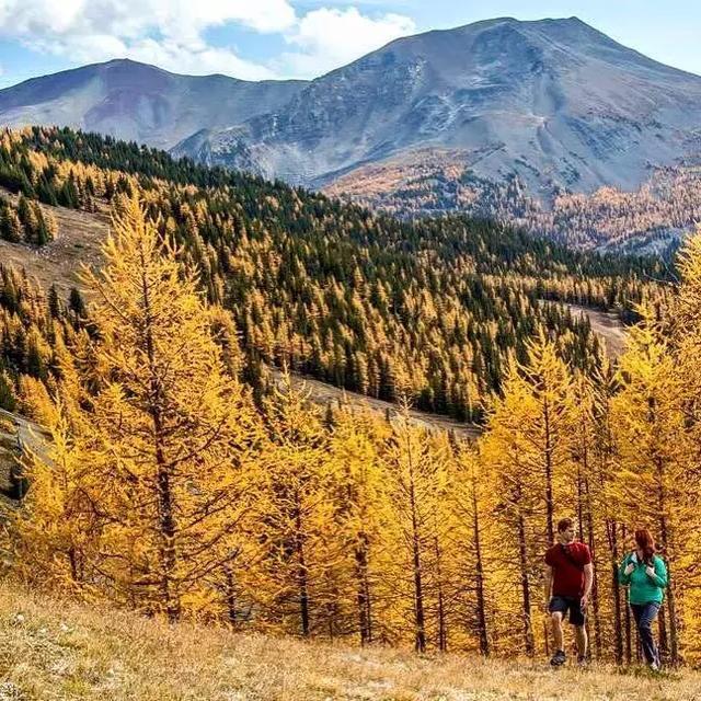 2017加拿大全境最新金秋赏枫攻略!2018加拿大