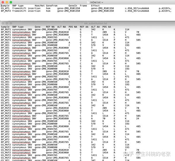 wgs 全基因组测序 wes 全外显子组测序 wgrs 全基因组重测序 分析与可视化教程转载 知乎