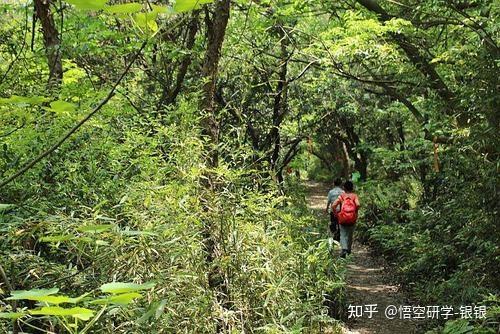 走起来无锡春天最美的9大徒步路线你走过几条