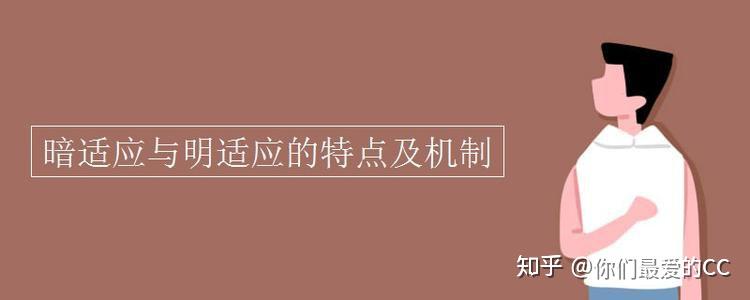 【知识点讲解】暗适应——为什么夜勤飞行员戴红色护目镜会保护暗适应? - 知乎