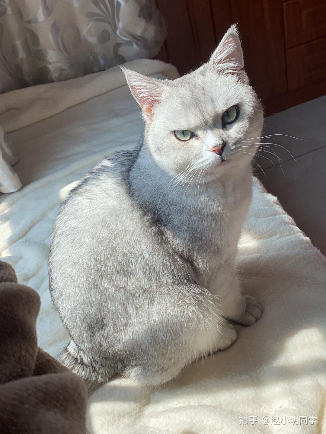 收購iPhone11ProMax