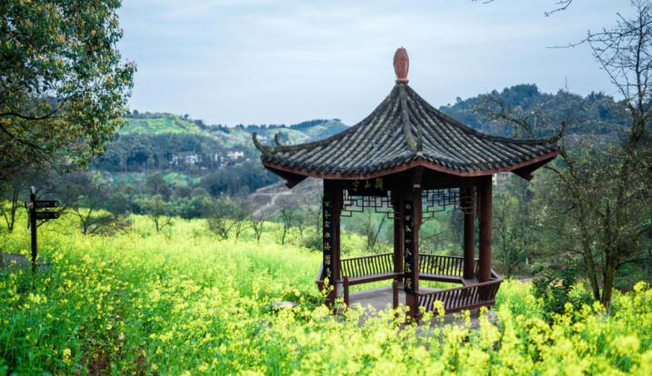 【賞花拾景,踏青春趣】步行前往九鳳山,賞百年梨園,三百梯雪海,感受花