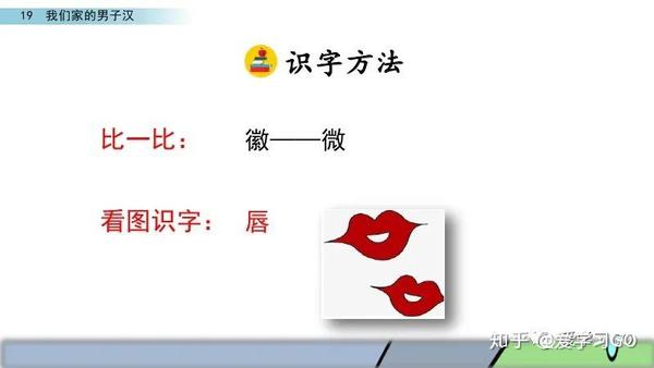 部编版四年级下册第19课《我们家的男子汉》图文讲解