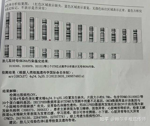 孕健康！4号染色体异常的原因“帮人受孕”-第1张图片-天福博客