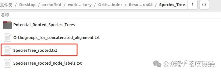 构建具有分歧时间的物种树（实践篇） - 知乎