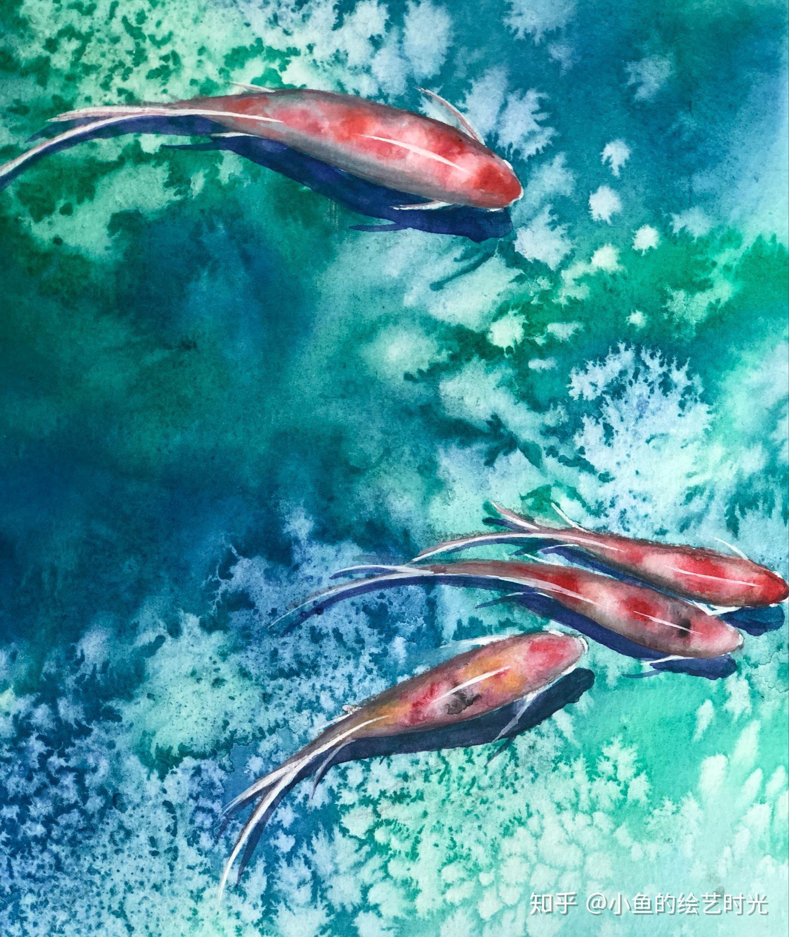 小鱼画了很多张,先个大家看看以前画的.