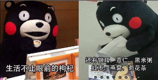 啥时候开始有微信的 v2-d28faa8c3b66281db0df95a8e38f52bb_r.jpg