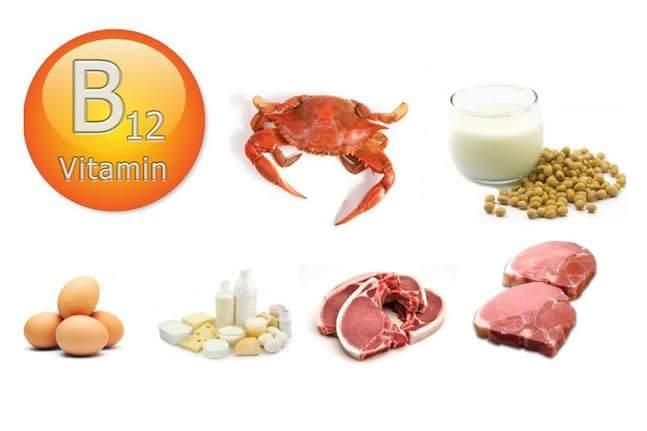 4.维生素b12的主要食物来源