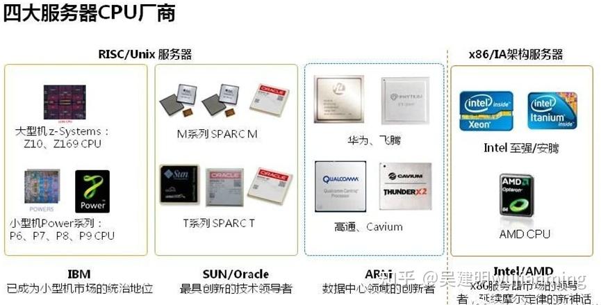 当前市场上领先的服务器芯片型号有哪些？