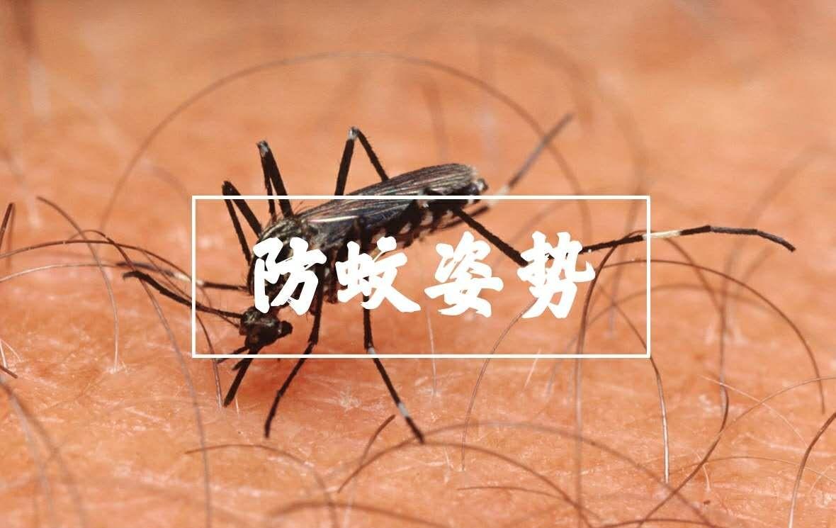 正确的防蚊姿势到底是怎样的