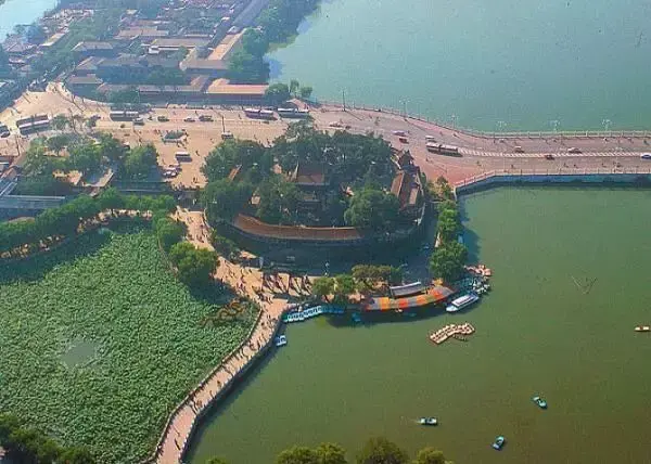 团城上独特的生态奇观