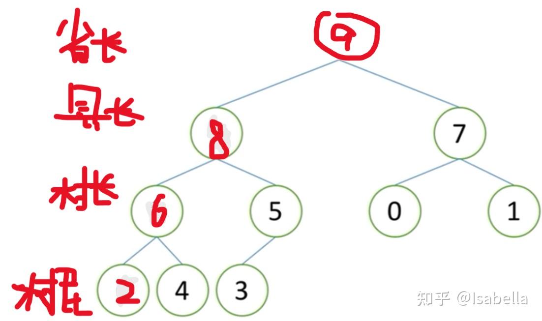 大堆的向下调整上图所示既不是大根堆也不是小根堆但是不看根节点的话