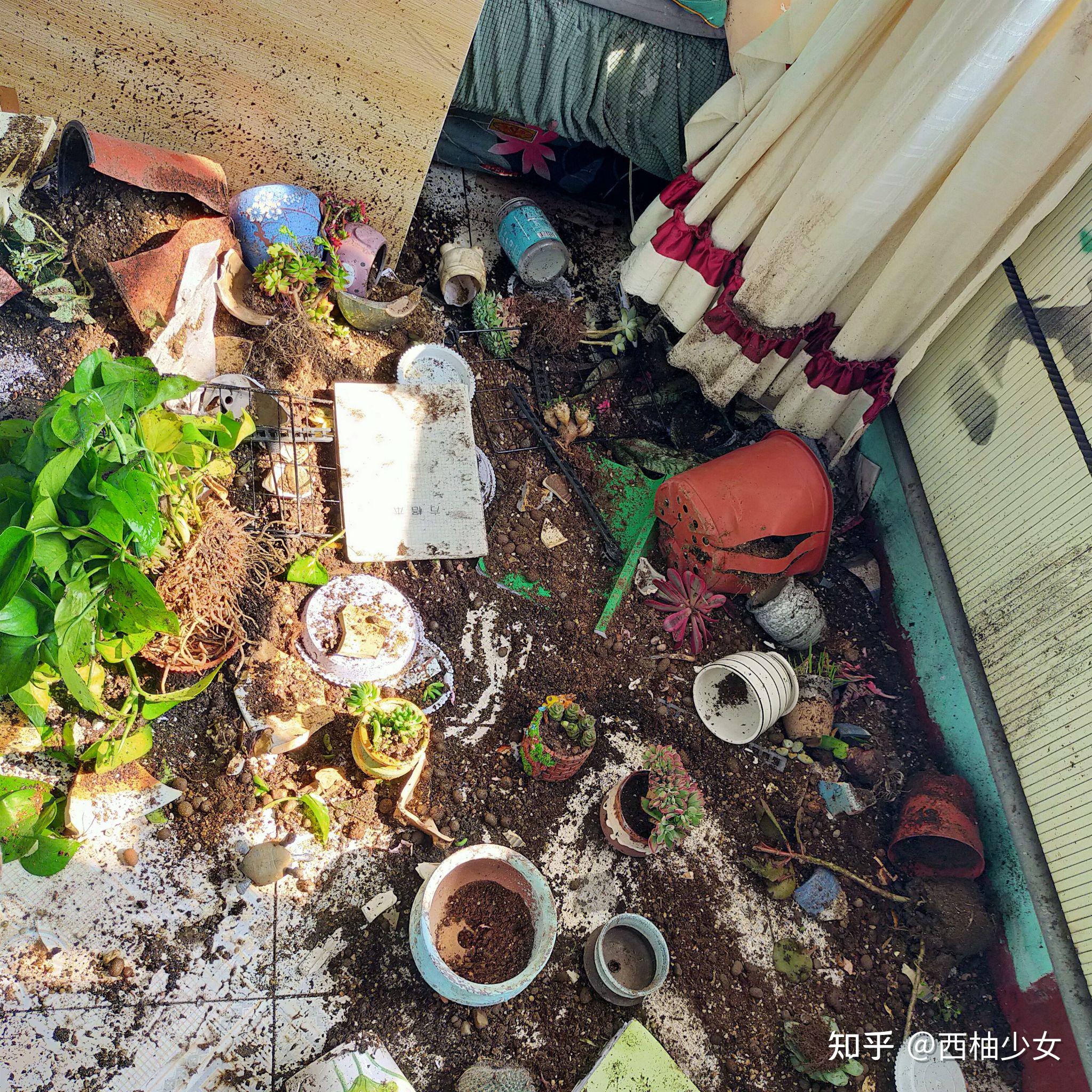 情侣打架摔东西以后怎么办