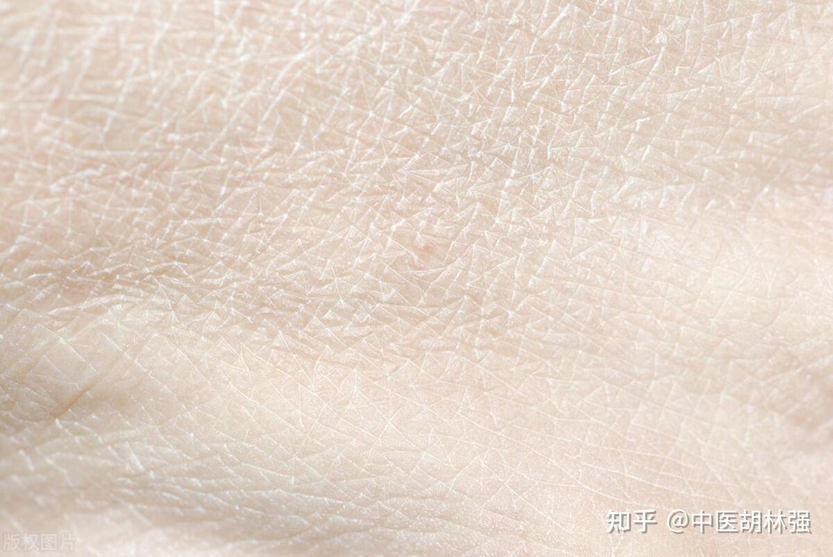 阴虚干、阳虚寒,血虚头晕气虚懒,老中医教你横扫“四大虚” - 知乎