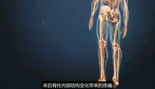 v2-d2f54cc38139b60de7e93cbda66be341.jpeg