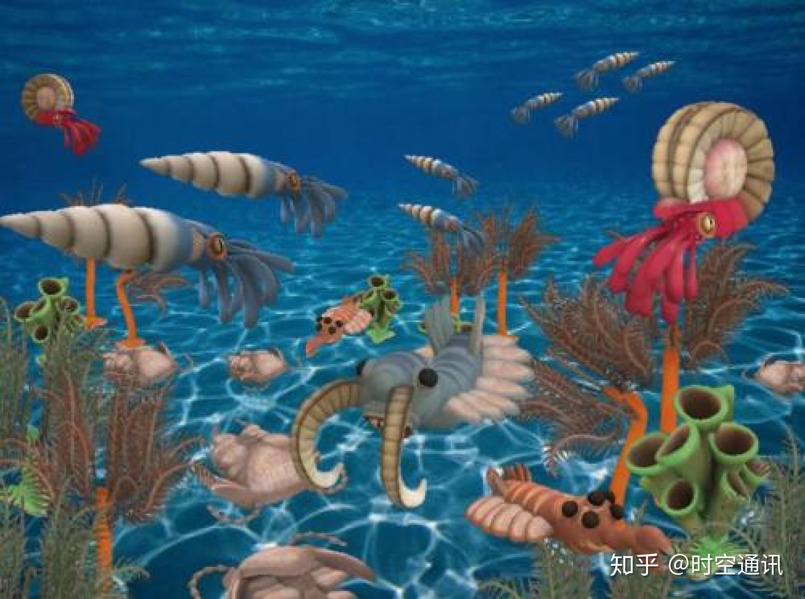 地质学家认为,石油是生物尸体变成,古代有那么多生物尸体吗 知乎