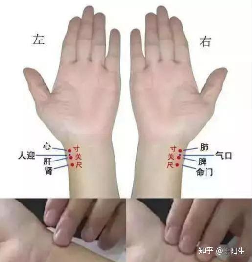 【老中医教你学把脉,10种最常见脉象】 - 知乎