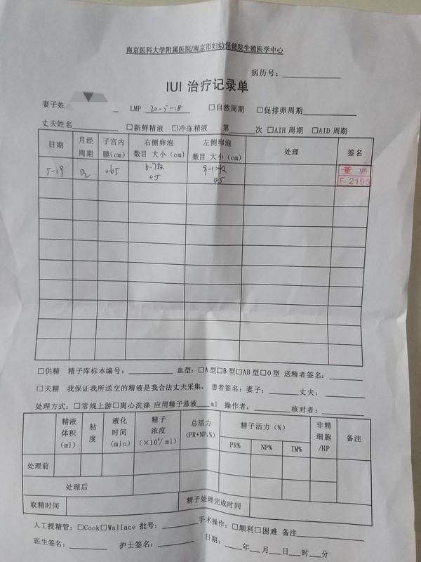 记录人工授精过程 奥利给 知乎