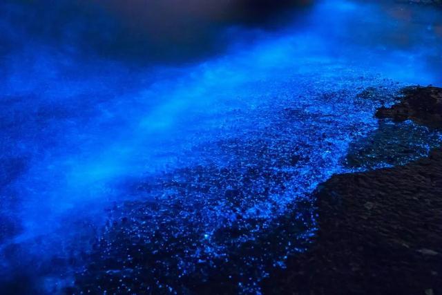 涠洲岛蓝色荧光海滩图片