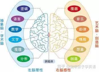 怎么开发大脑最简单 v2-d33c2479ccc23dcc081c298b1ae2c163_b.jpg