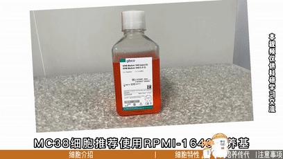 MC38细胞培养，小鼠结肠癌细胞培养攻略-丰晖生物 - 知乎