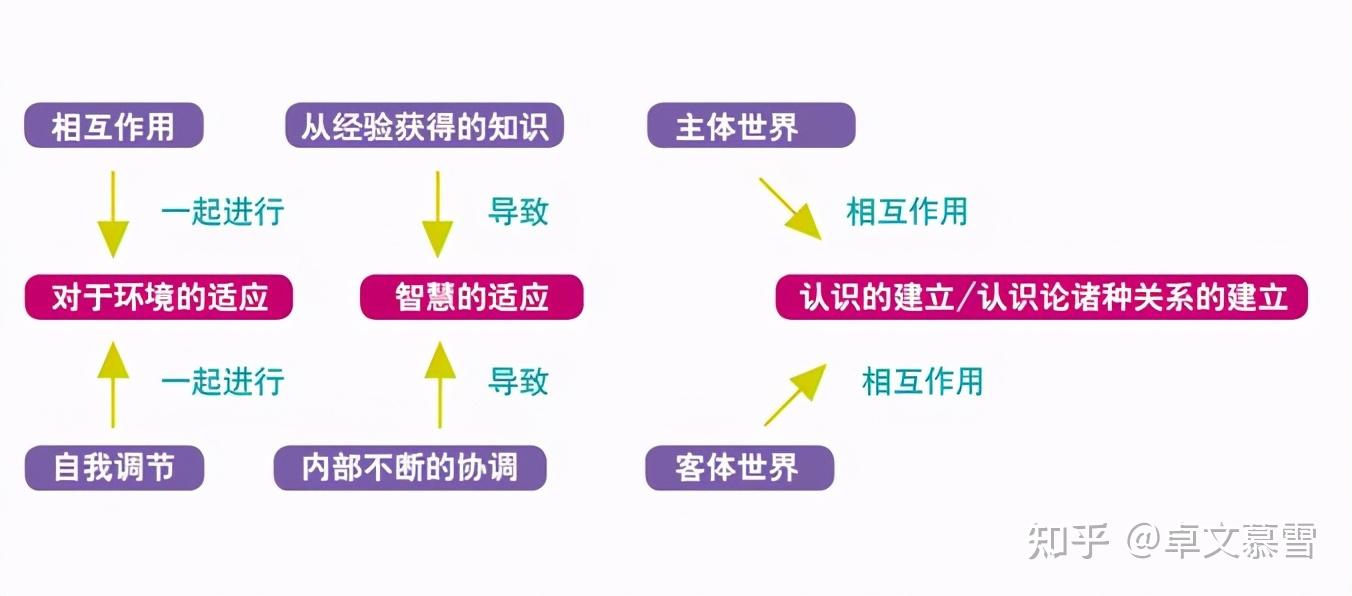 认知水平到底是个什么东西?如何去提高? - 知乎