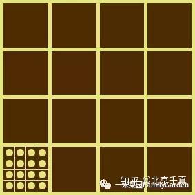 2 一米菜园 如何拯救了拥有田园梦想的城市家庭 知乎