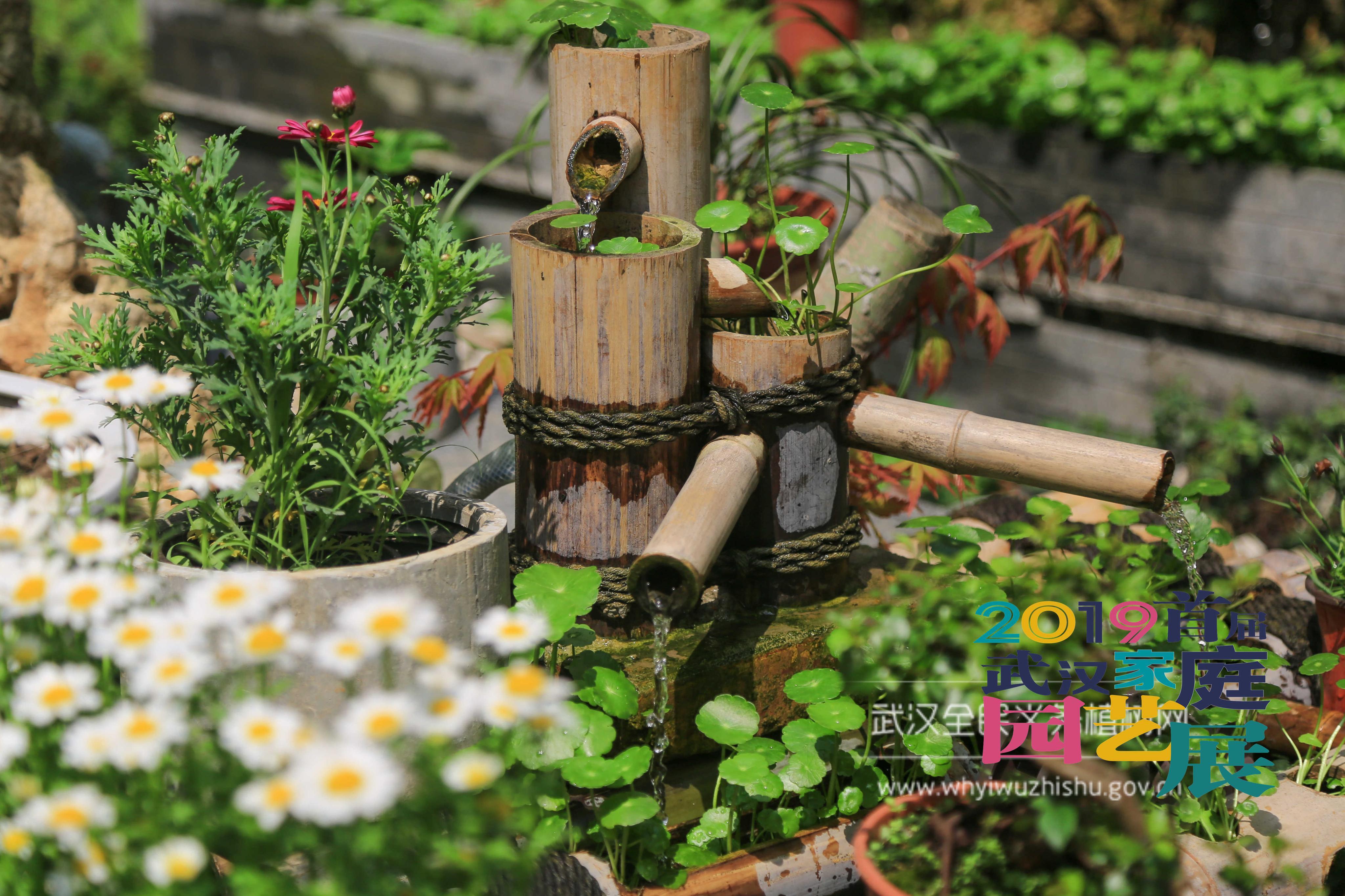 2019首届武汉家庭园艺展武汉又一大盛事今年五一就看得到