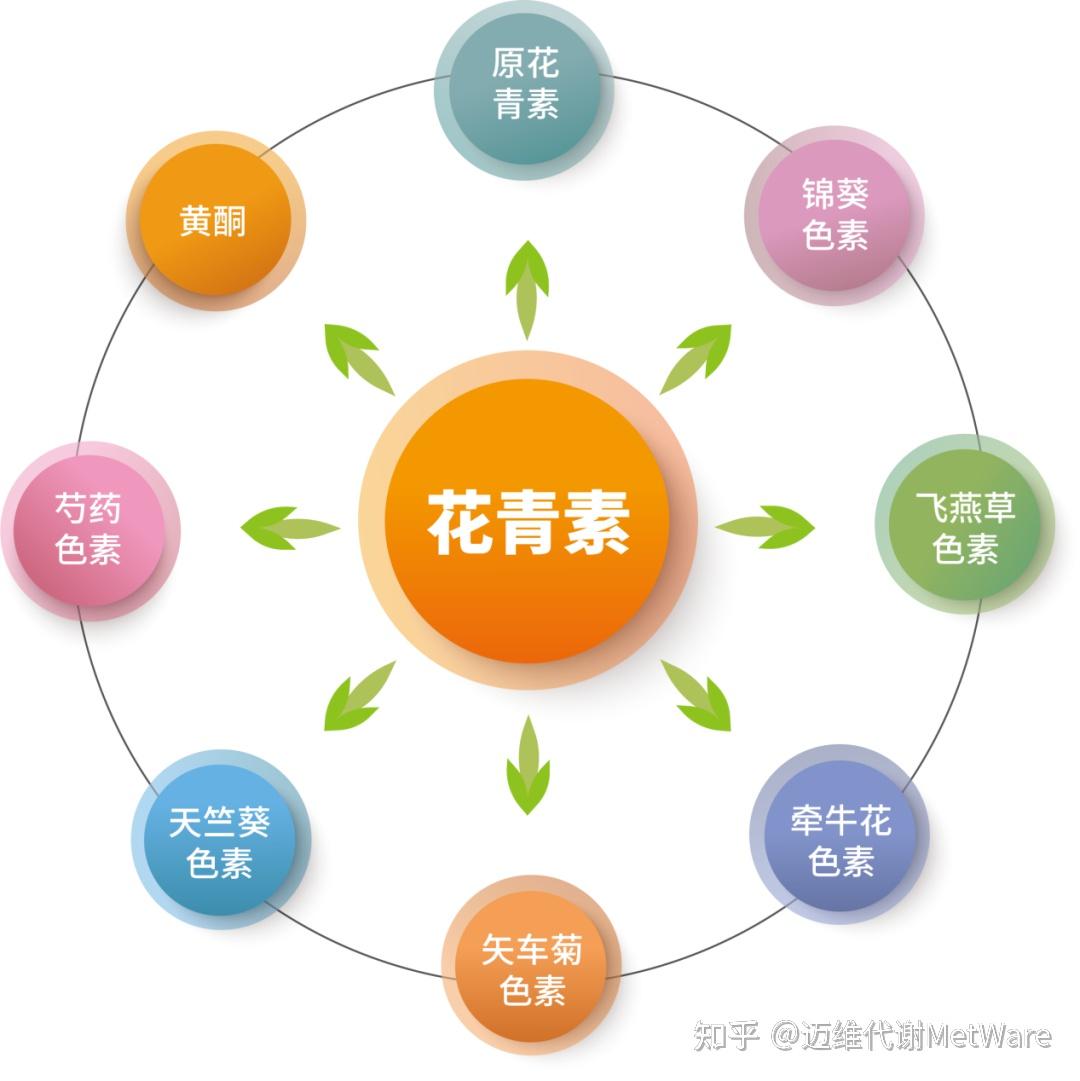 花青素专题植物花朵呈现五颜六色的机理