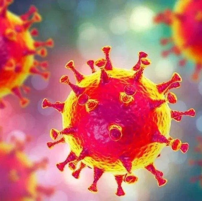 望海楼台当局炮制信息瘟疫用心险恶