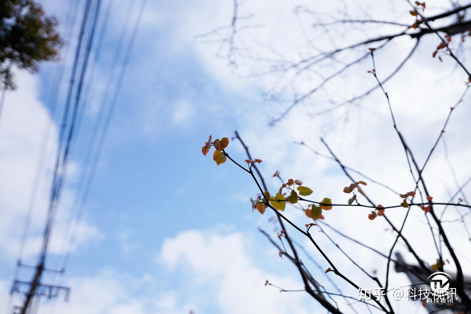 F1.8大光圈定焦镜头来袭 索尼SEL20F18G打造卓越拍摄体验