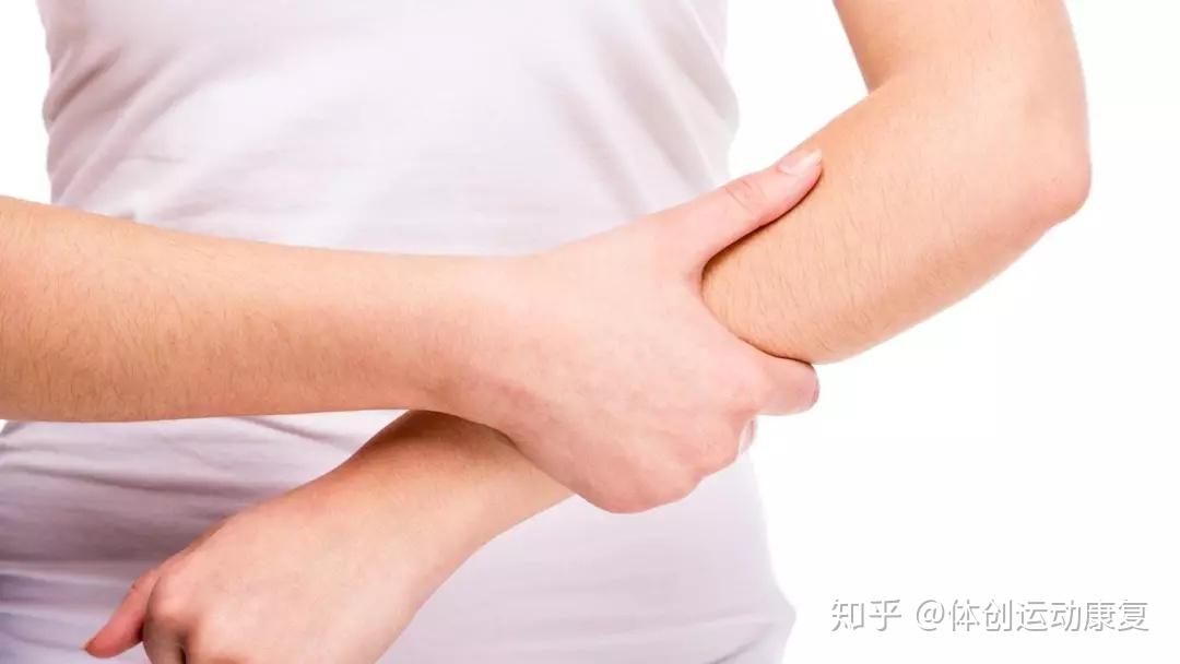 前臂因为自身的位置关系,参与了一系列日常手臂或手部的运动.