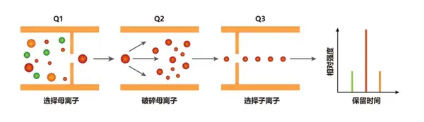 《5分钟带你了解定制靶向开发及应用》