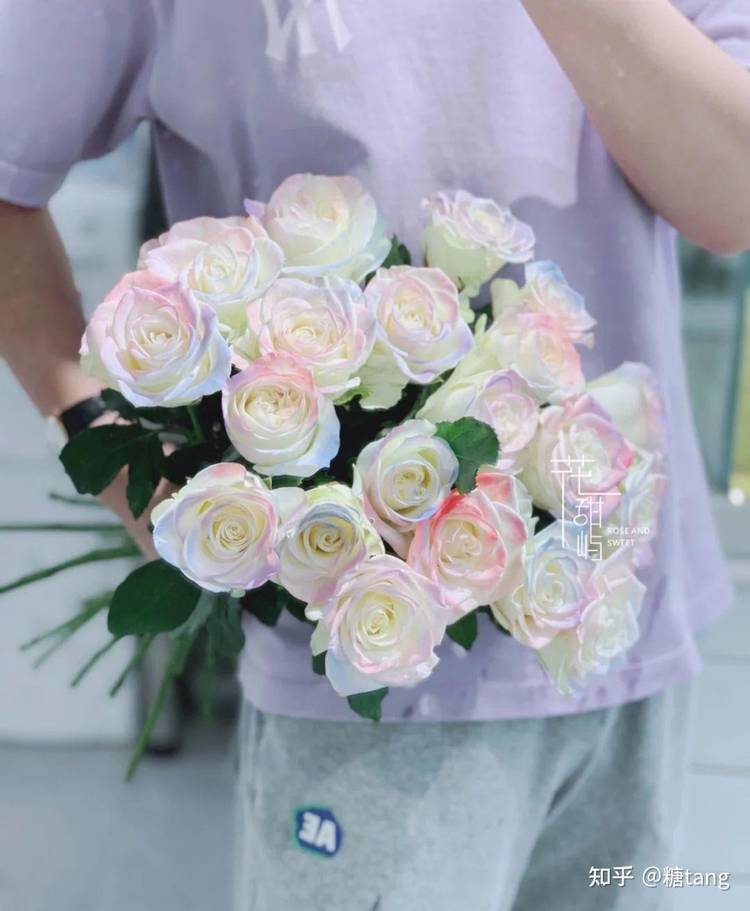 今日入手了人鱼姬,一款喷色玫瑰,开花超级美丽,又仙又炸,简直是小仙女