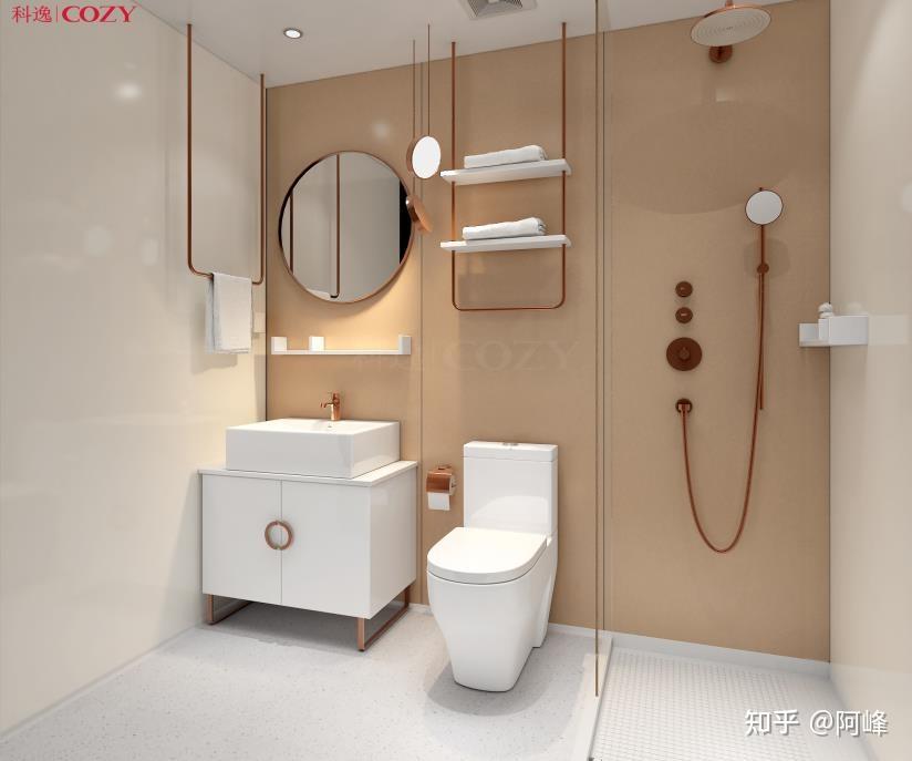 带你了解整体卫浴 - 知乎