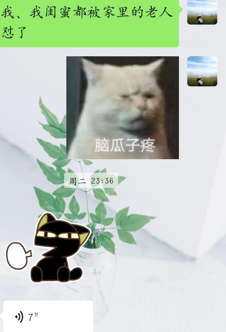 v2-d3ded38bab7c50936e5589c5d42d3daf_r.jpg