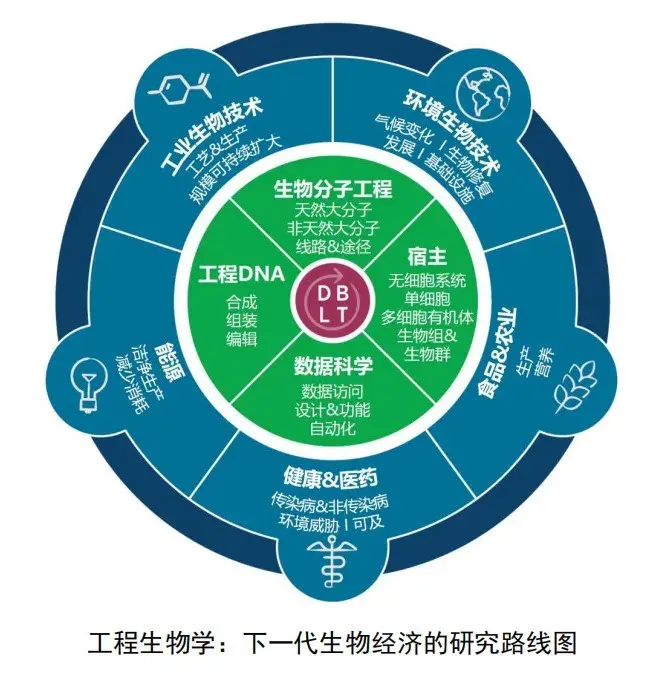 《工程生物学:下一代生物经济研究路线图》,对工程生物学的发展现状及